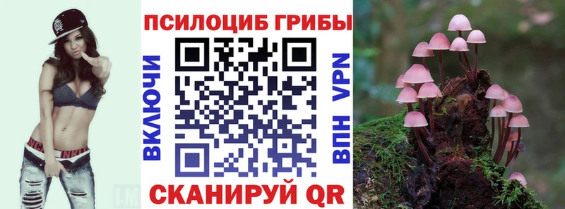 Галлюциногенные грибы GOLDEN TEACHER  где найти   Чернушка 